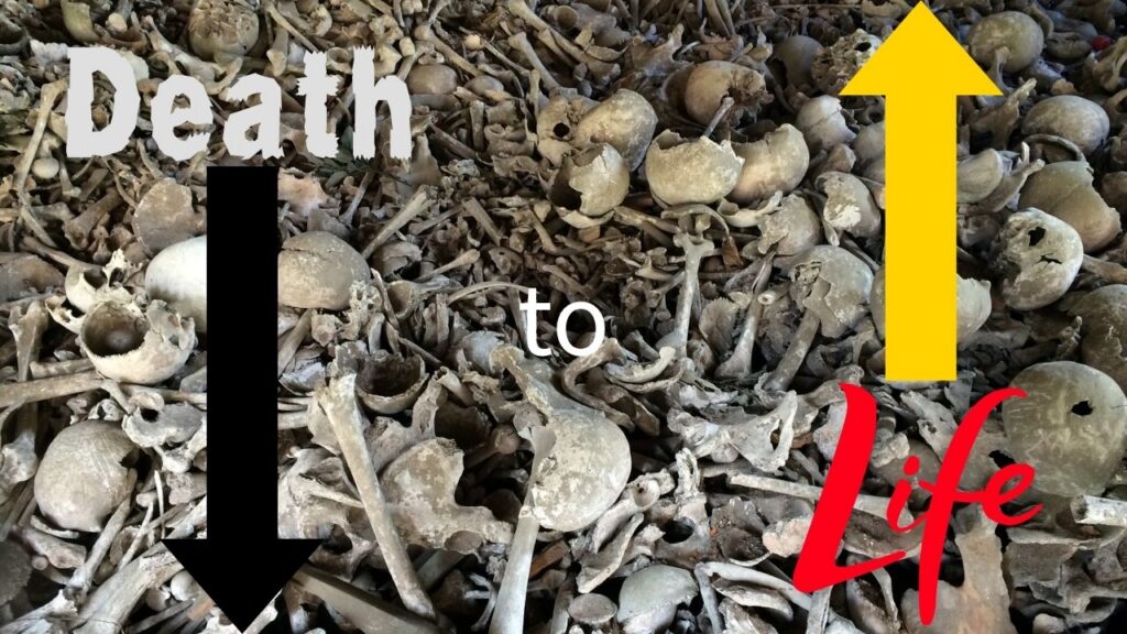 Fifth Sunday in Lent