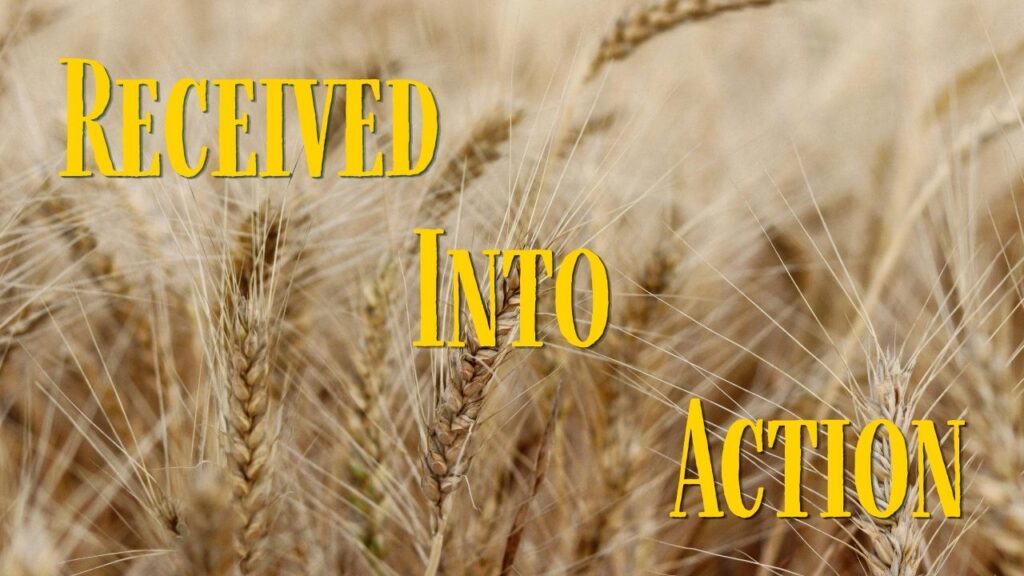 Third Sunday after Pentecost