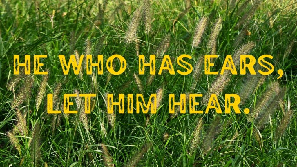 Eighth Sunday after Pentecost
